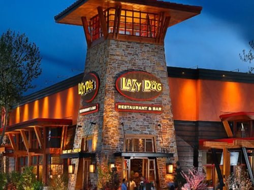 what time does happy hour start at lazy dog